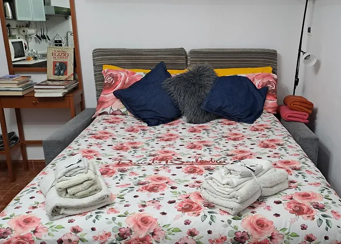 Apartment Flat Center Porta Susa, Free Parking Wifii Smart Tv Sky