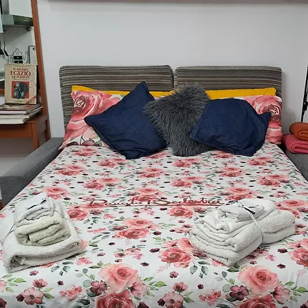 Apartment Flat Center Porta Susa, Free Parking Wifii Smart Tv Sky